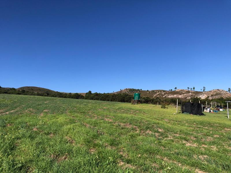 0 Bedroom Property for Sale in Baardskeerdersbos Western Cape